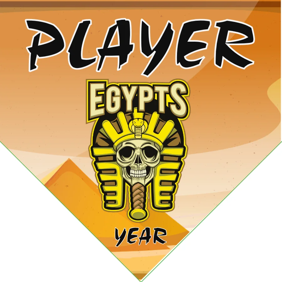 Egypts Softball Banner-softball-team-picture-banners-images
