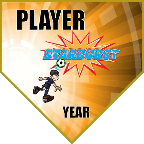 Starbuckst Soccer Banner-soccer-banner-picture