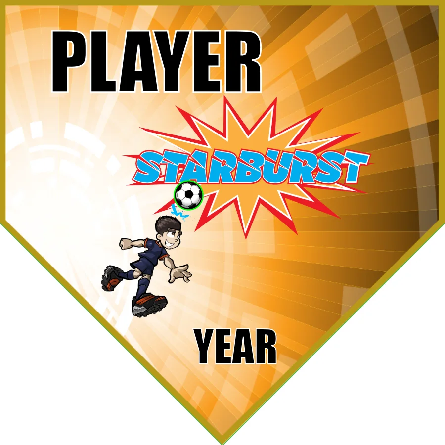 Starbuckst Soccer Banner-soccer-banner-picture