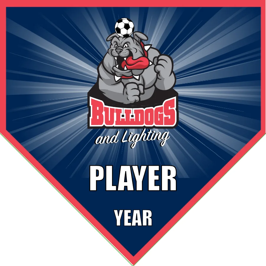 Bulldog and lighting 2 Soccer Banner-soccer-banner-dimensions-picture