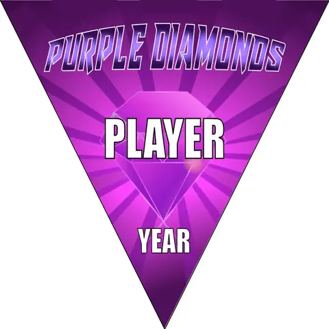 Diamonds Purple Soccer Banner-how-to-make-a-soccer-banner-stand-picture