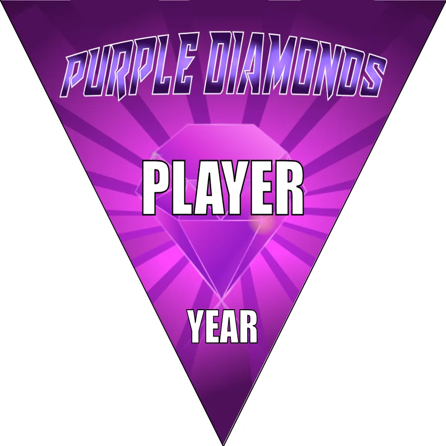 Diamonds Purple Soccer Banner-how-to-make-a-soccer-banner-stand-picture