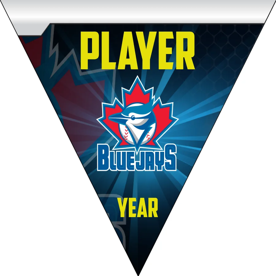 Blue Jays4 Baseball Banner-little-league-baseball-banner-ideas-images