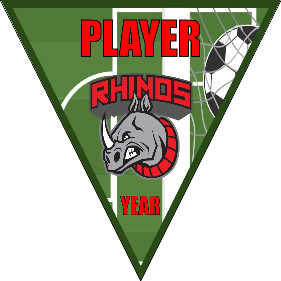 Rhinos Soccer Banner-how-to-make-a-soccer-banner-stand-picture