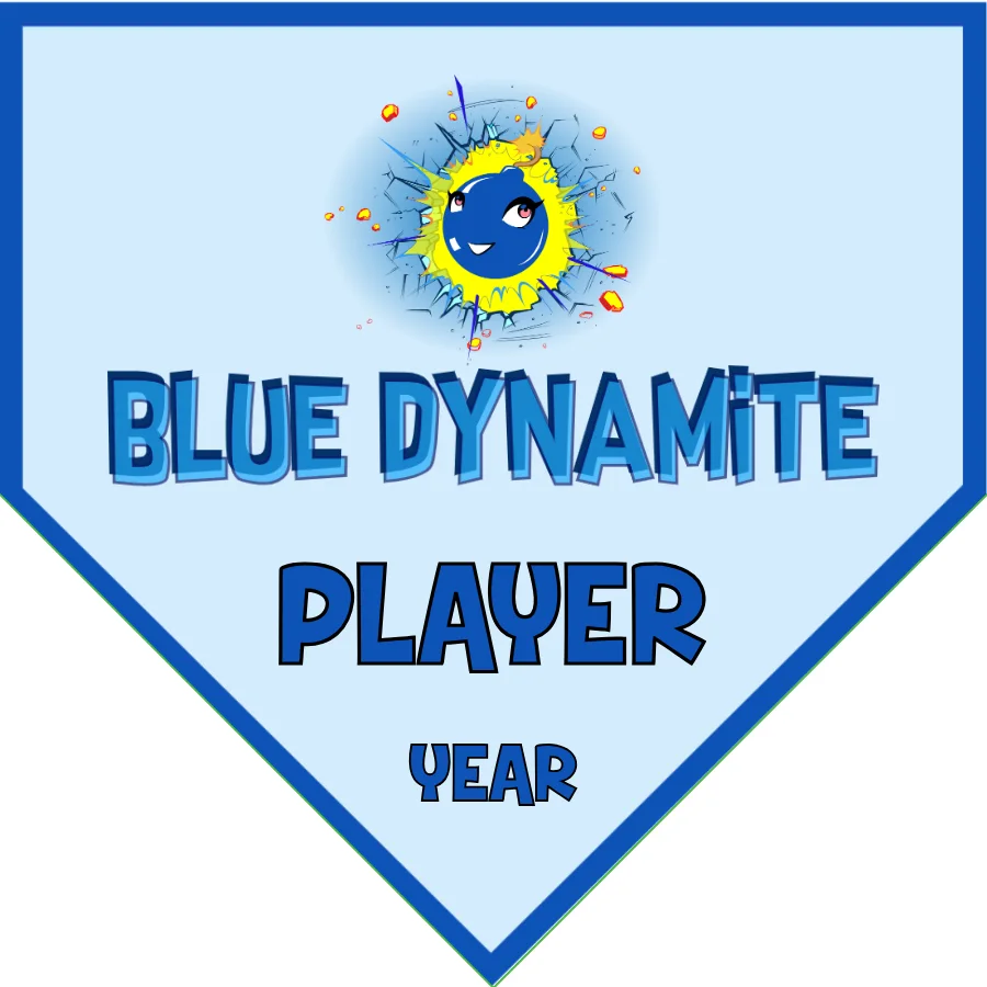 Dynamite Blue Soccer Banner-how-big-are-soccer-banners-picture