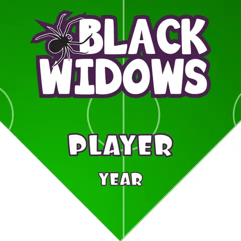 BlackWidows Soccer Banner-barcelona-soccer-banner-picture