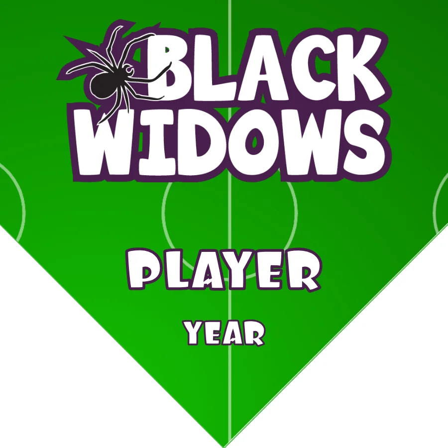 BlackWidows Soccer Banner-barcelona-soccer-banner-picture