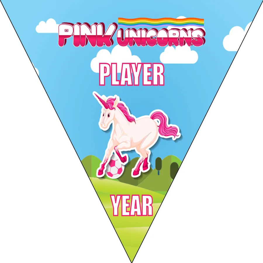 Unicorns Pink Soccer Banner-soccer-banner-stand-pvc-picture