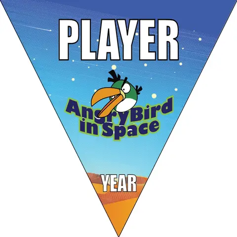 Angry Birds Space 1 Soccer Banner-soccer-banner-size-picture