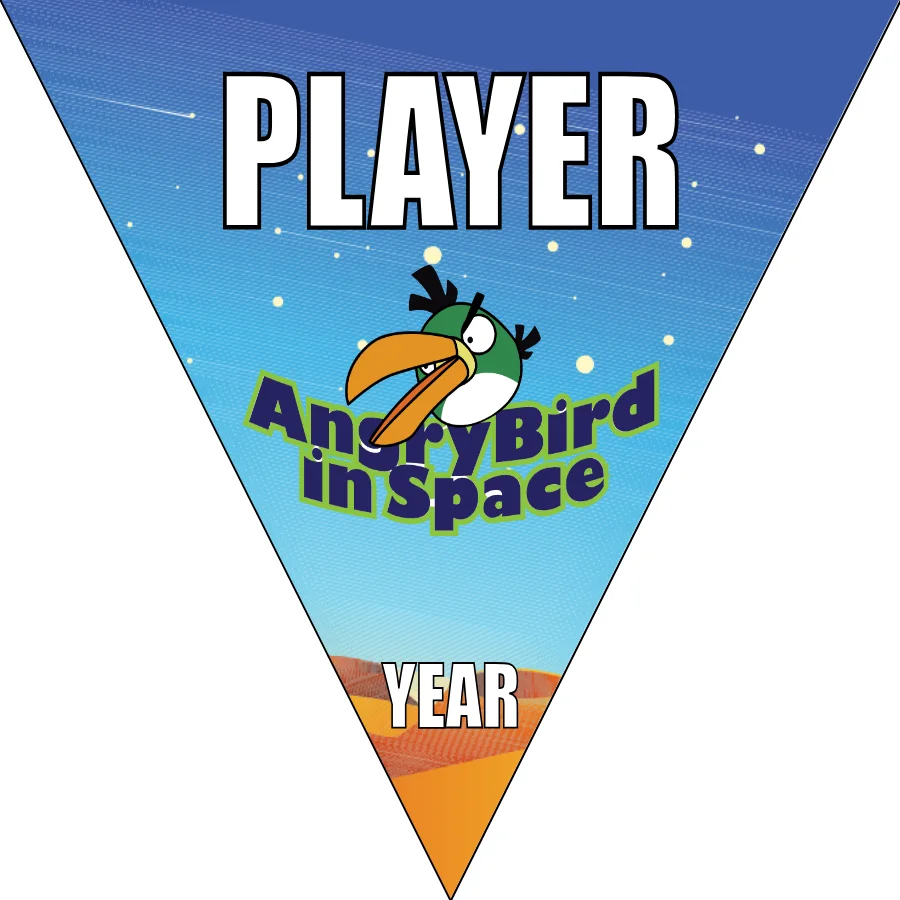 Angry Birds Space 1 Soccer Banner-soccer-banner-size-picture