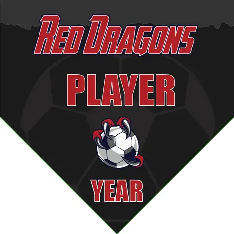 Red Dragons Soccer Banner-soccer-banner-picture