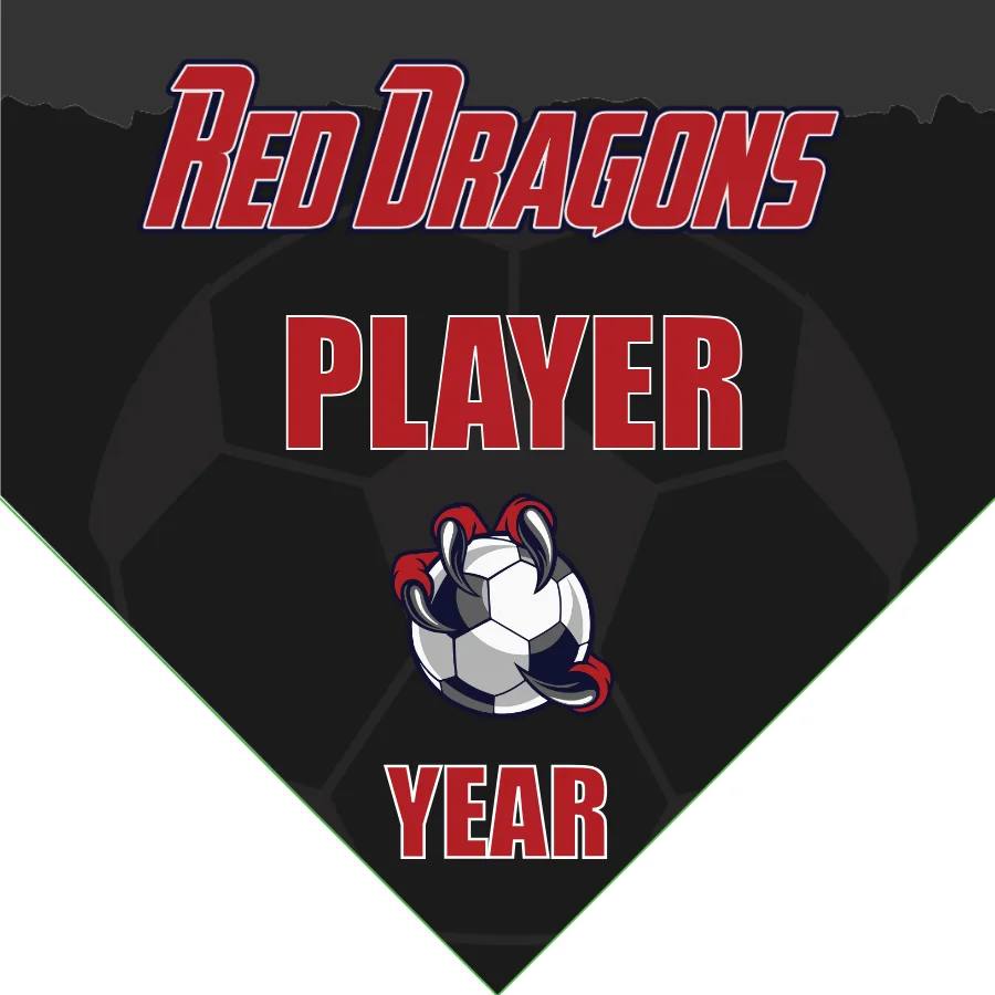 Red Dragons Soccer Banner-soccer-banner-picture