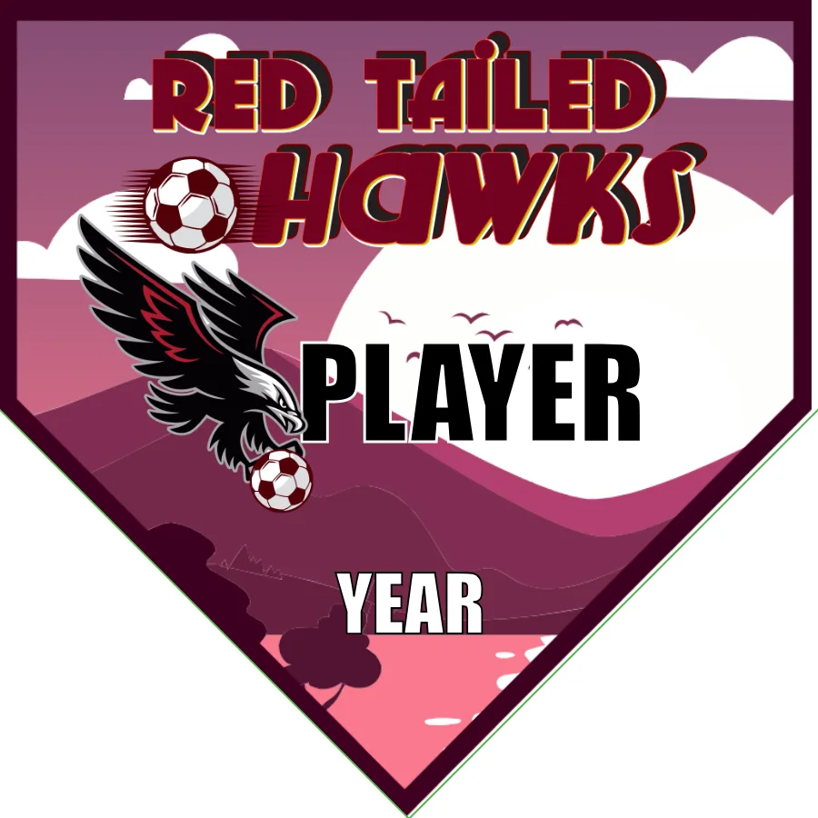 Red Tailer Hawks Soccer Banner-soccer-team-banner-picture
