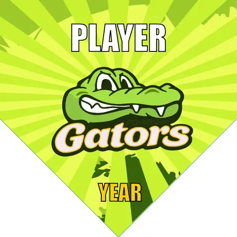 Gator 2 Soccer Banner-homemade-soccer-banner-ideas-picture