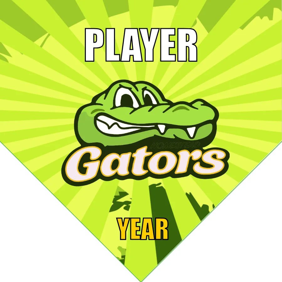 Gator 2 Soccer Banner-homemade-soccer-banner-ideas-picture