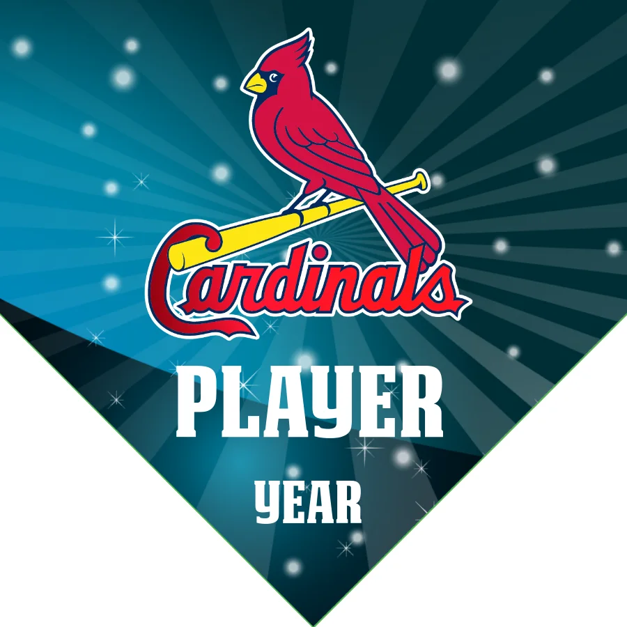 Cardinal 2 Baseball Banner-youth-baseball-banner-ideas-images