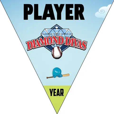 Diamond Divas 1 Softball Banner-handmade-softball-banners-images