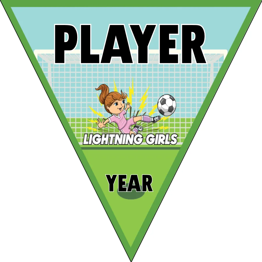LIGHTNING GIRLS Soccer Banner-soccer-banners-santa-ana-ca-picture