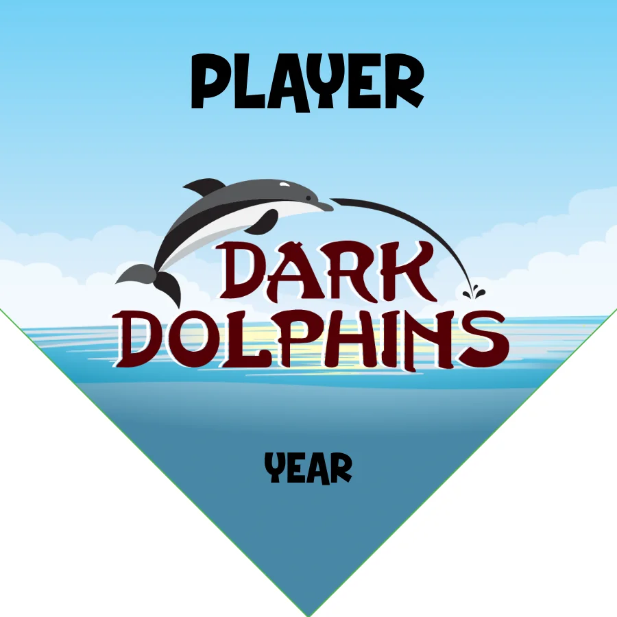 DarkDolphins Soccer Banner-pinterest-soccer-banner-picture