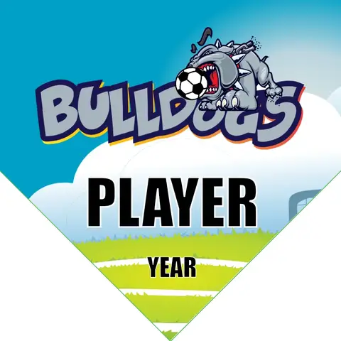 Bulldogs 1 Soccer Banner-soccer-banners-and-flags-picture