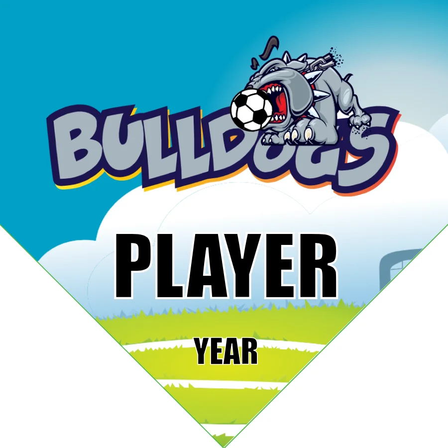 Bulldogs 1 Soccer Banner-soccer-banners-and-flags-picture