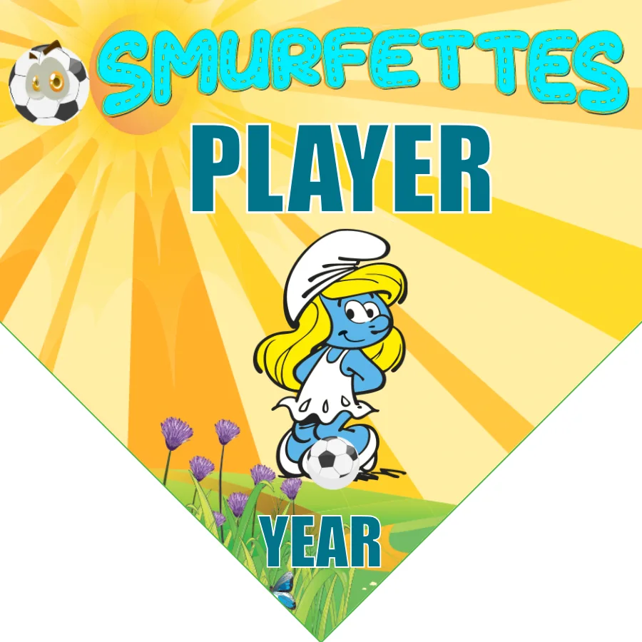 Smurfettes Soccer Banner-soccer-banner-stand-picture