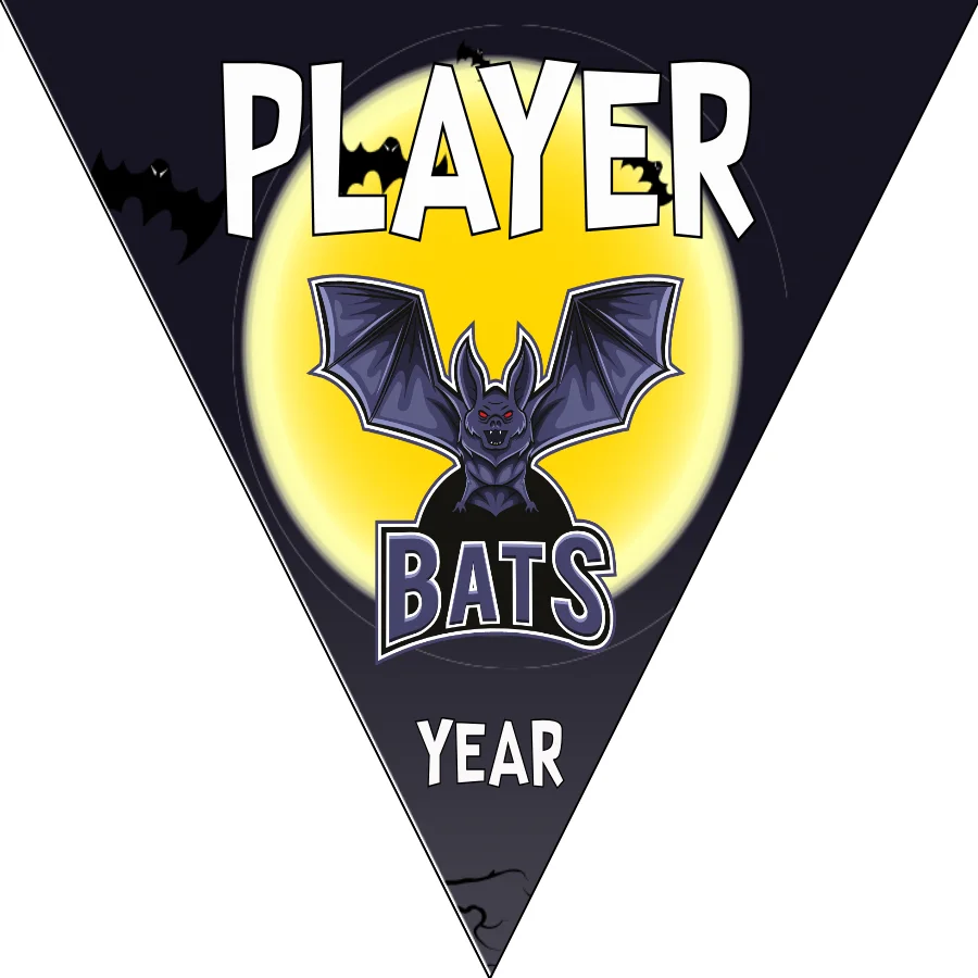 Bats 2 Softball Banner-asa-softball-banners-images