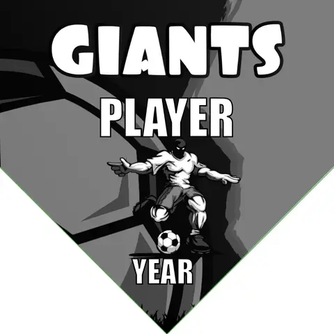 Giants 2 Soccer Banner-banners-for-soccer-team-picture