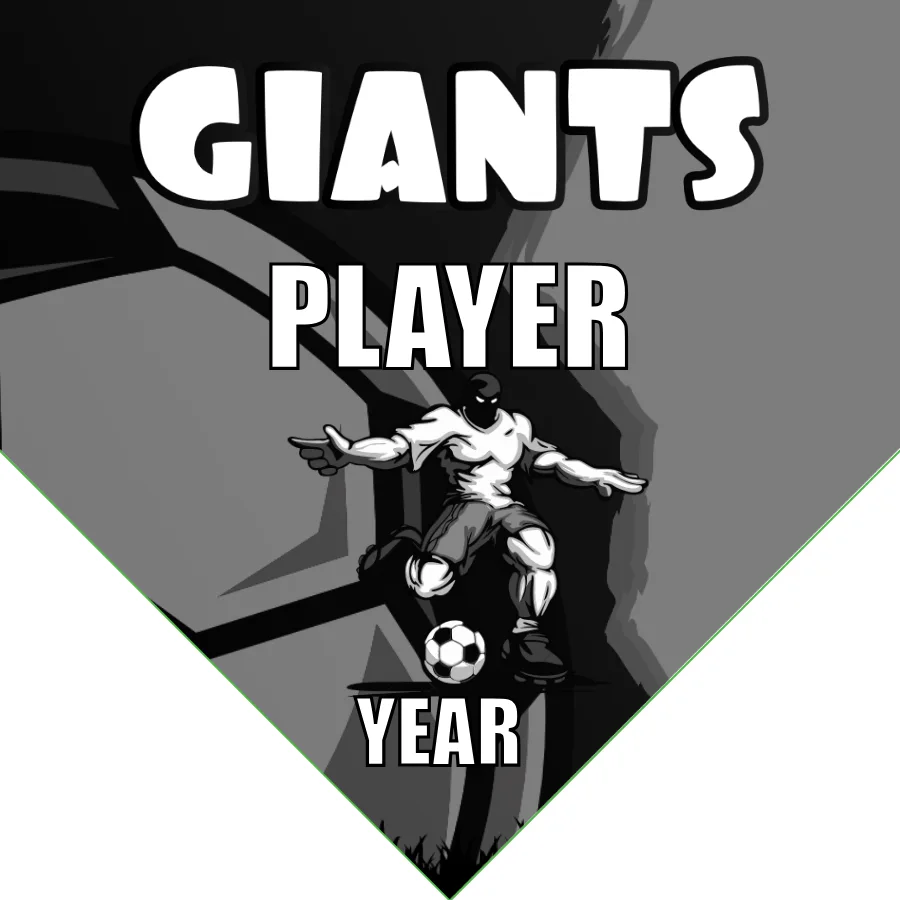 Giants 2 Soccer Banner-banners-for-soccer-team-picture