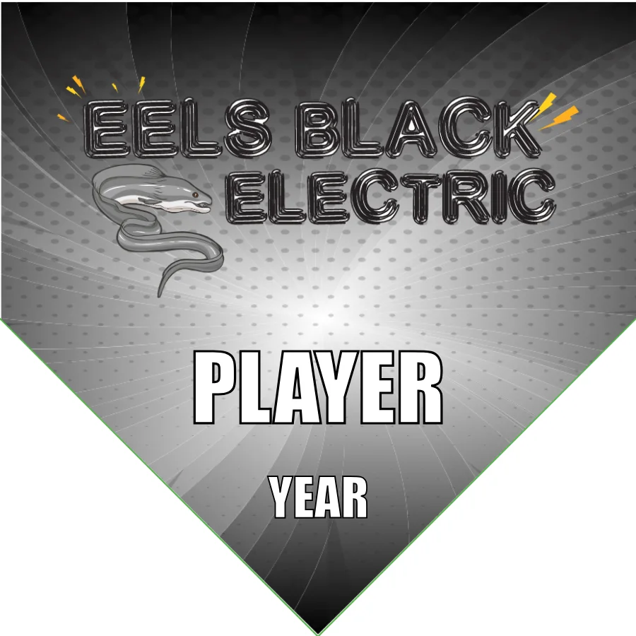 Eels Black Electric Soccer Banner-soccer-banners-southern-california-picture