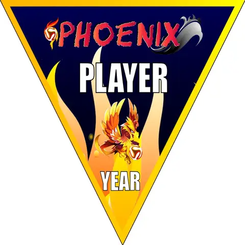 Phoenix 1 Soccer Banner-soccer-banner-frame-picture