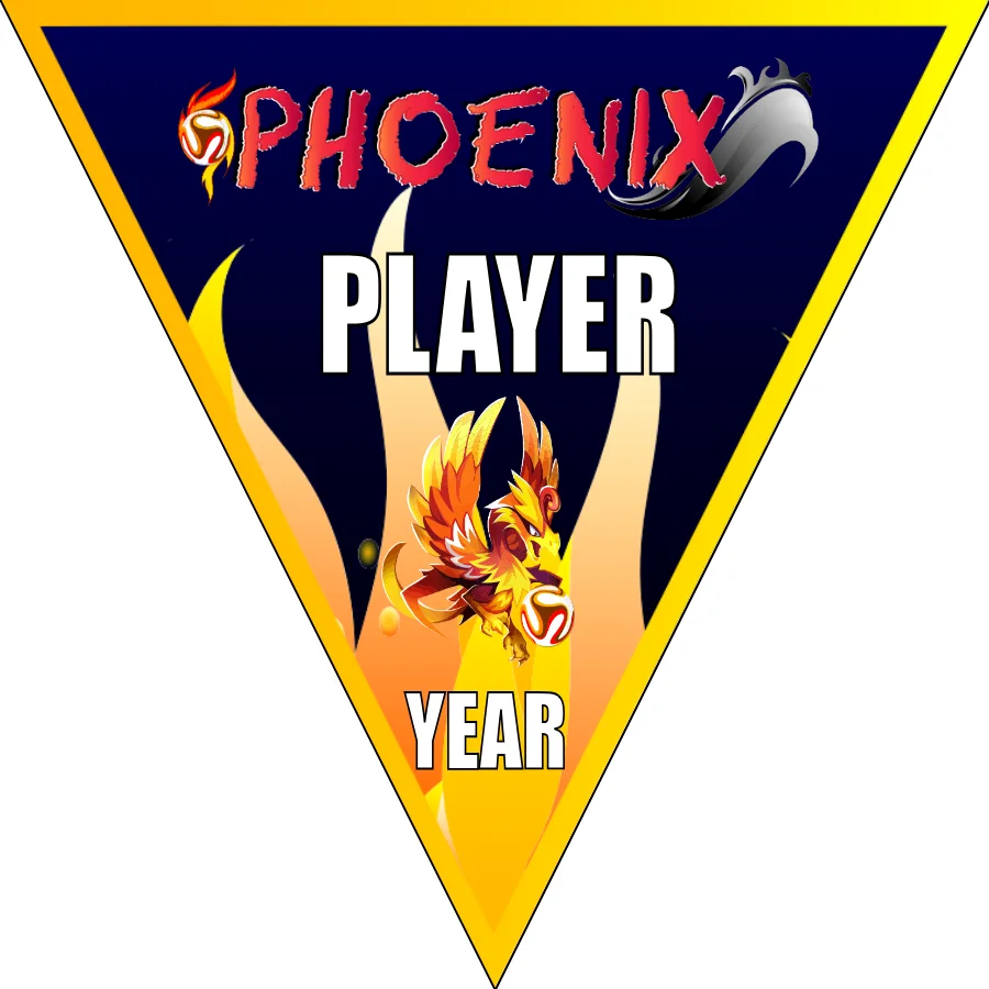 Phoenix 1 Soccer Banner-soccer-banner-frame-picture