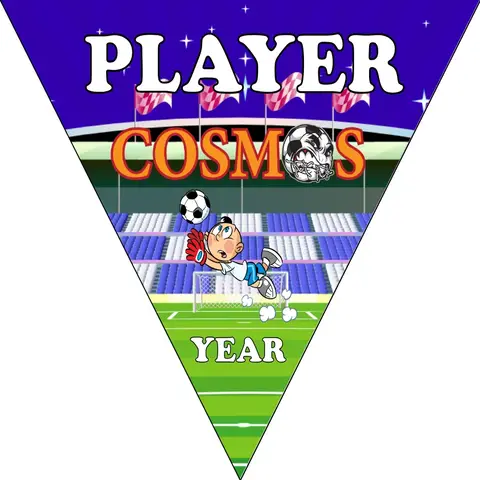 Cosmos Soccer Banner-custom-soccer-banner-designs-picture