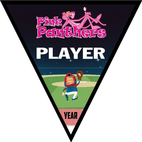 Pink Panthers 1 Softball Banner-softball-sponsor-banners-images
