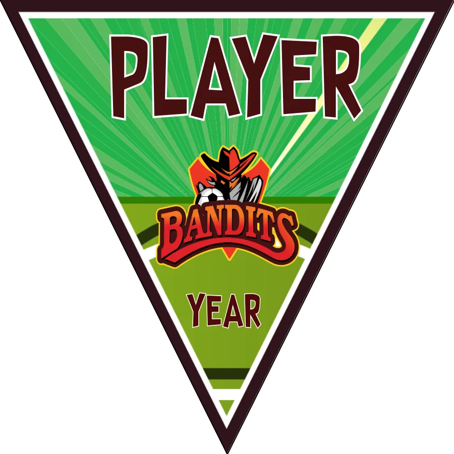 Bandits Soccer Banner-argentina-soccer-banner-picture