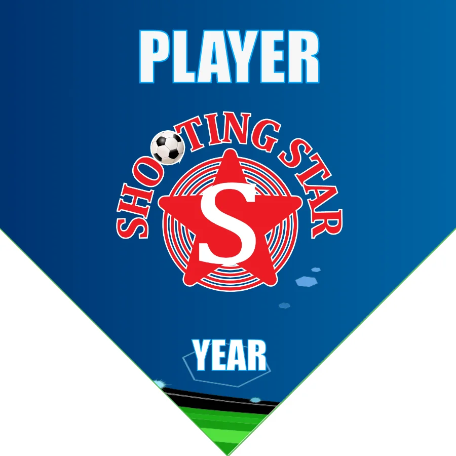 Shootingstar Soccer Banner-soccer-ball-banner-picture