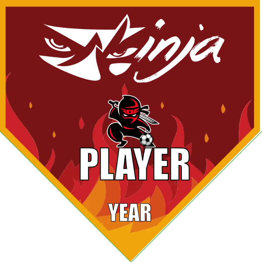 Ninja Soccer Banner-soccer-team-banner-picture
