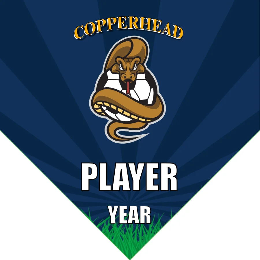 Copperhead Soccer Banner-soccer-team-banner-homemade-picture