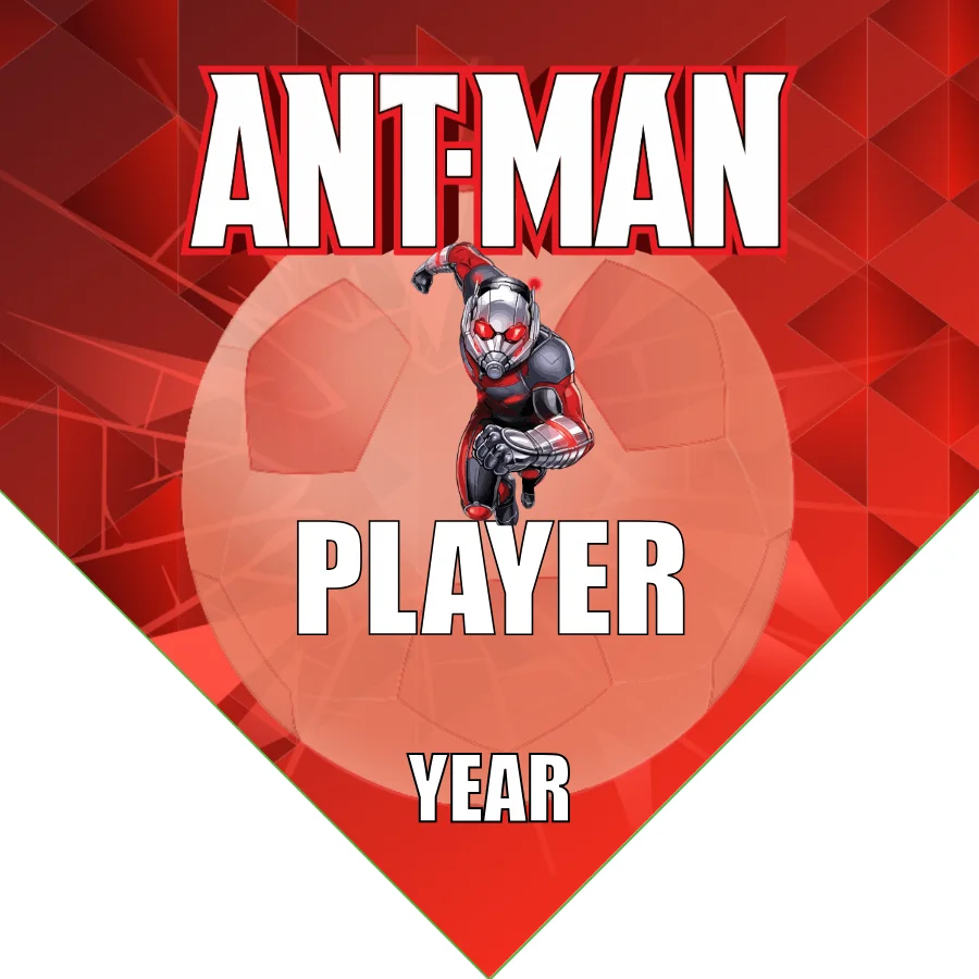 Ant Man Soccer Banner-soccer-banner-size-picture