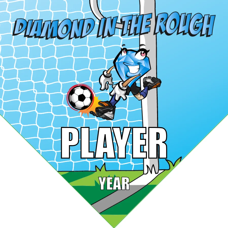 Diamond in Rough Soccer Banner-banner-soccer-image