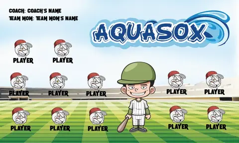 Aquasox Softball Banner-softball-banner-ideas-picture