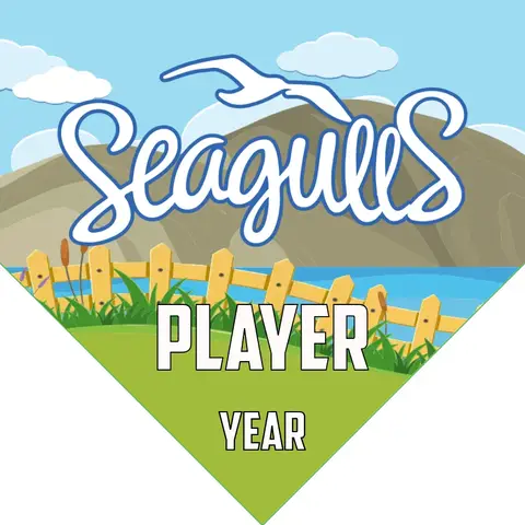 Seagulls Soccer Banner-soccer-banner-frame-picture