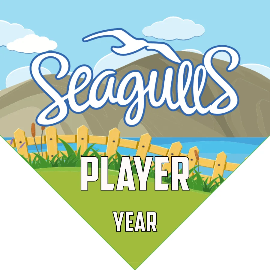 Seagulls Soccer Banner-soccer-banner-frame-picture