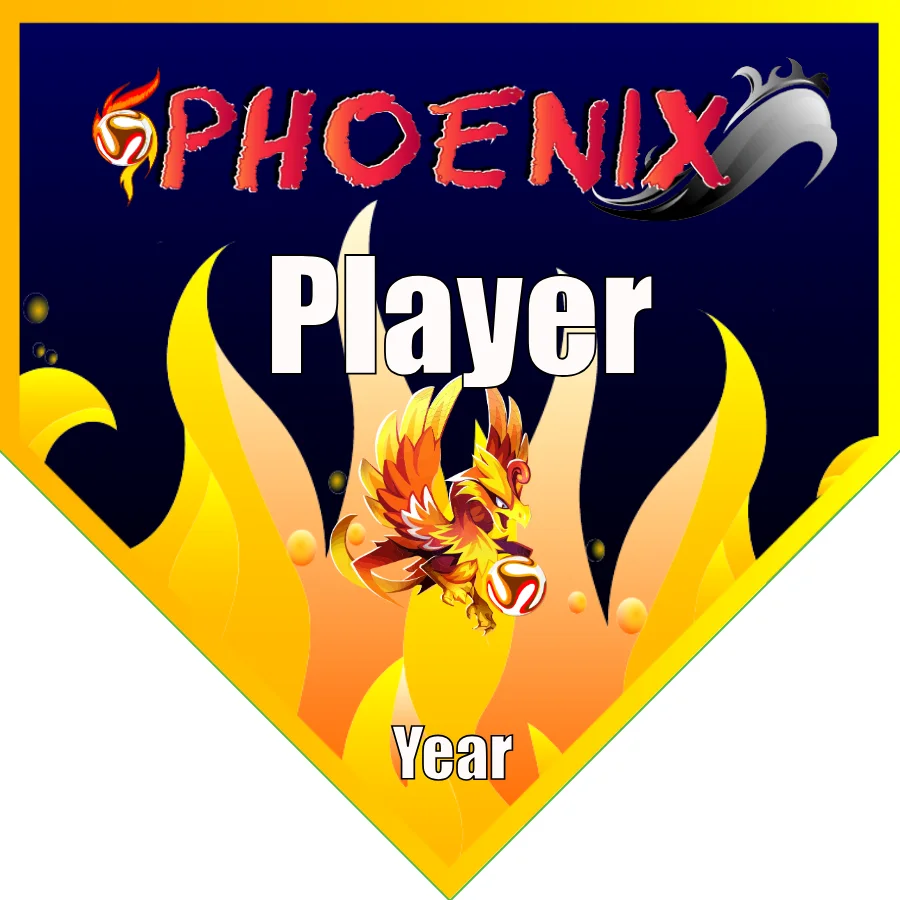 Phoenix 1 Soccer Banner-soccer-banner-size-picture