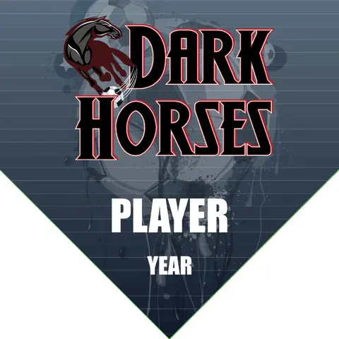 Dark Horses 2 Soccer Banner-custom-soccer-pennant-banner-picture