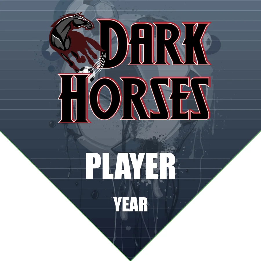 Dark Horses 2 Soccer Banner-custom-soccer-pennant-banner-picture