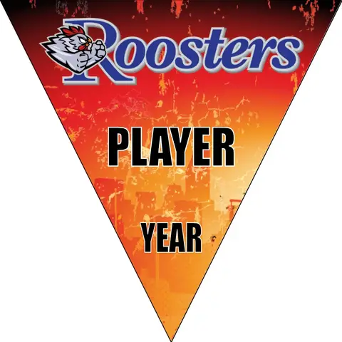 Rooster Soccer Banner-how-to-make-a-soccer-banner-at-home-picture
