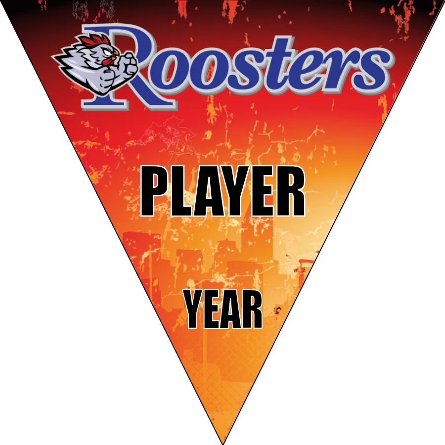 Rooster Soccer Banner-how-to-make-a-soccer-banner-at-home-picture