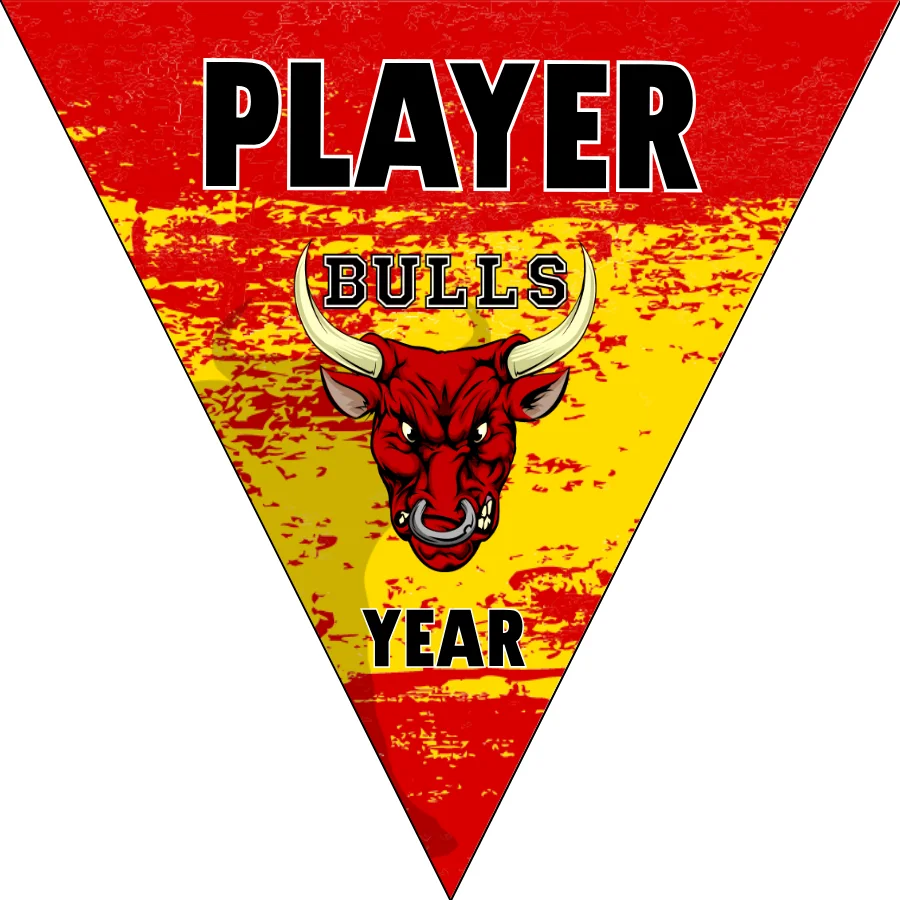 Bulls 2 Soccer Banner-soccer-six-banner-picture