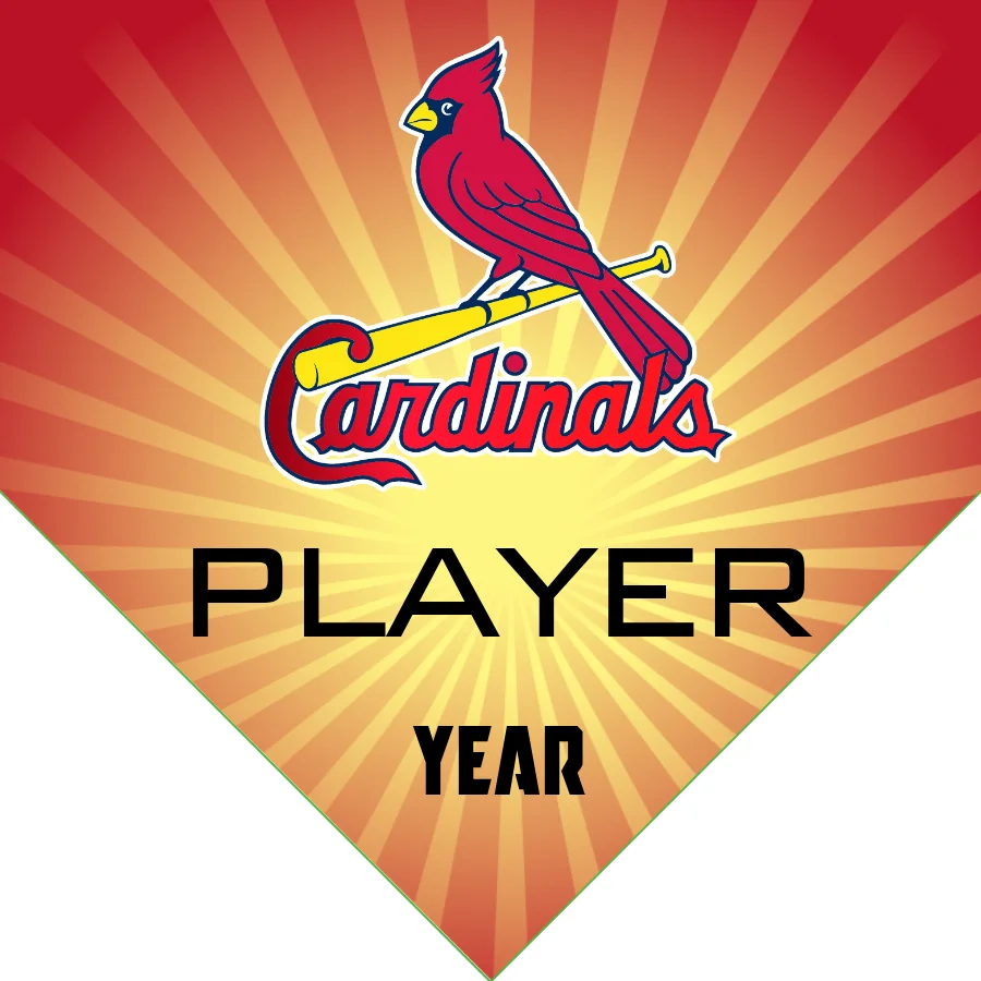 Cardinals 3 (5) Baseball Banner-routine-baseball-banner-images
